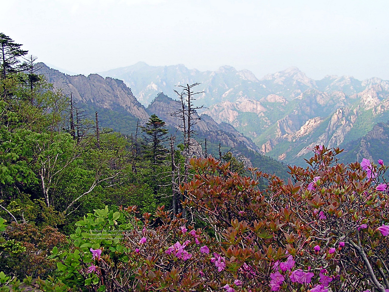 마등령,귀떼기청 5월30일 212.jpg