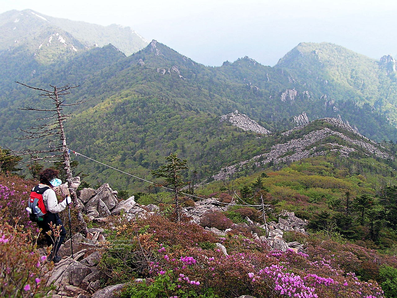 마등령,귀떼기청 5월30일 206.jpg