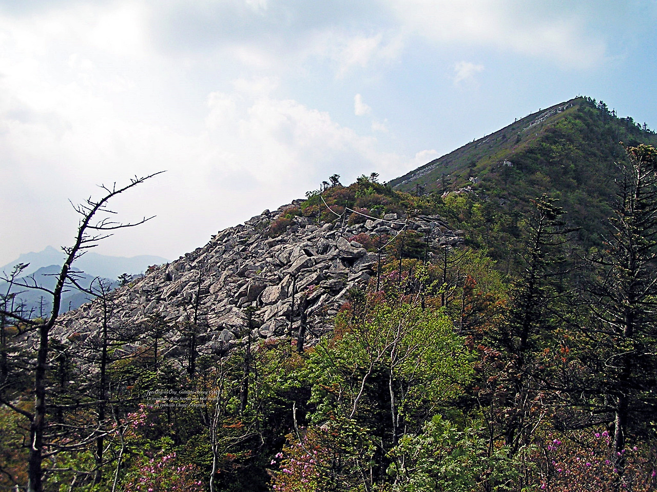 마등령,귀떼기청 5월30일 202.jpg