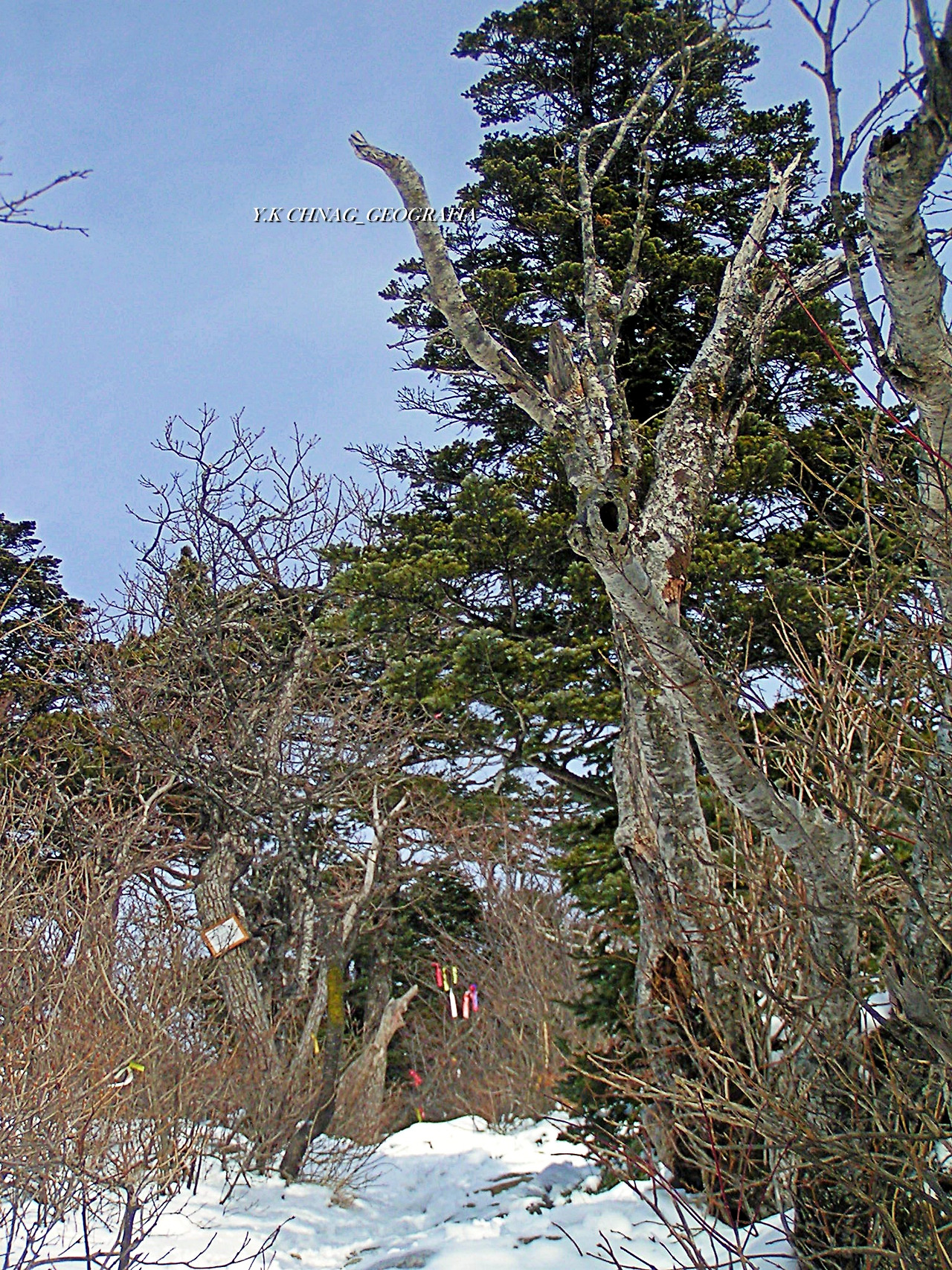 설악산 대청봉 056-1.jpg