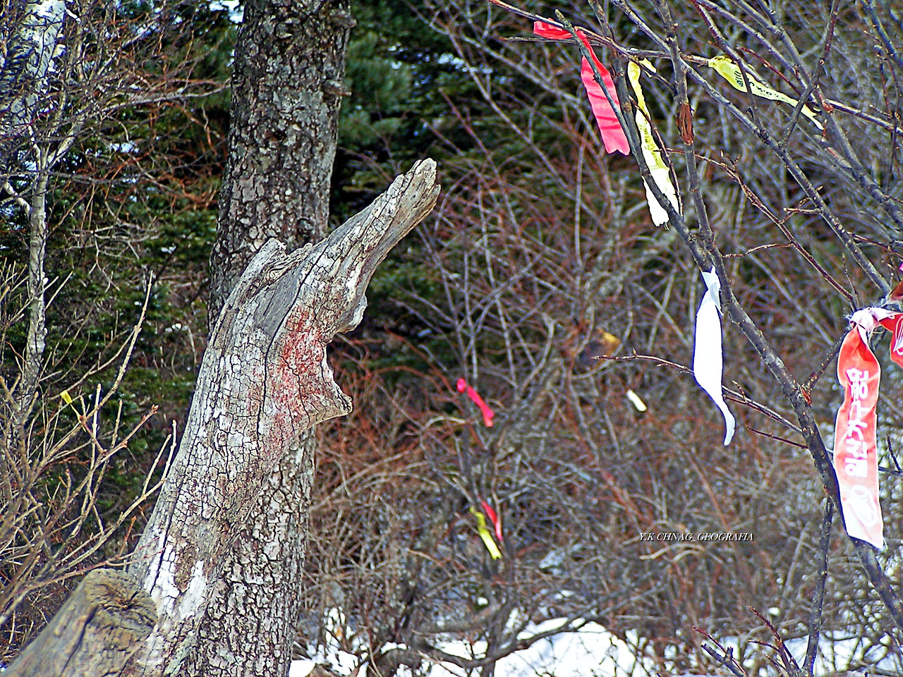 설악산 대청봉 057-1.jpg