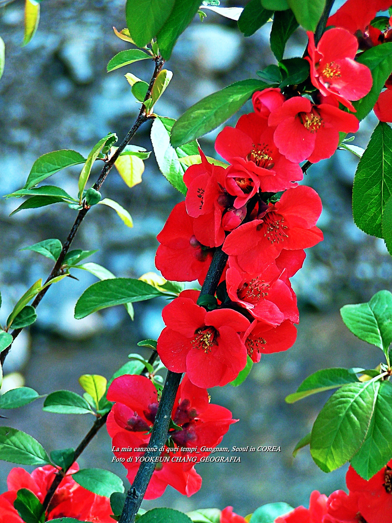 예봉산 5월3일 027.jpg