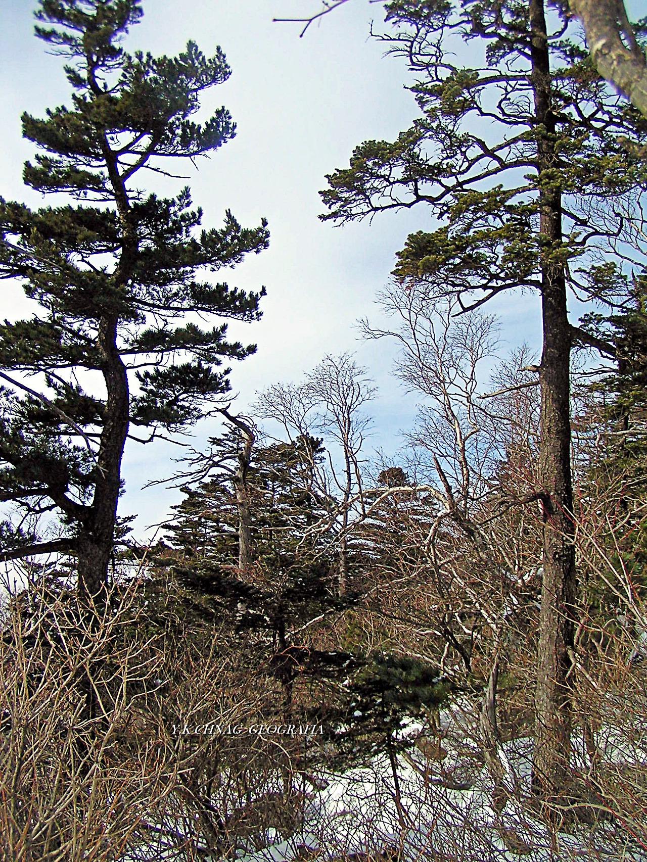 설악산 대청봉 053-1.jpg