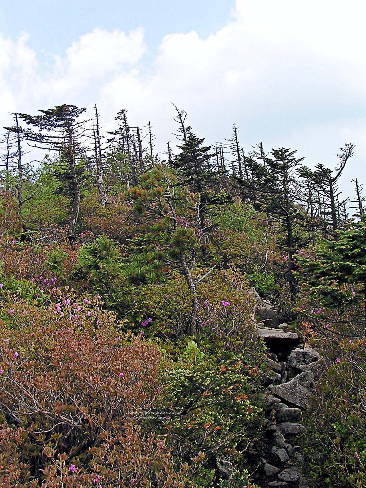 마등령,귀떼기청 5월30일 203.jpg