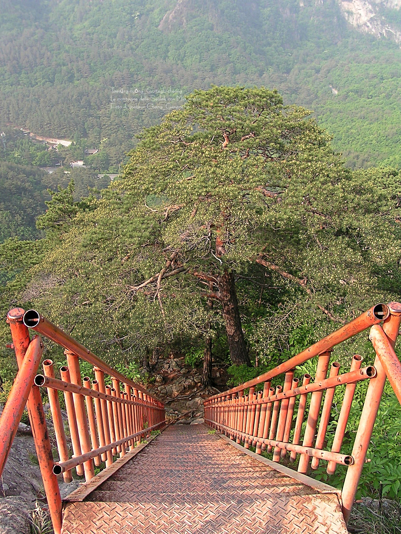 마등령,귀떼기청 5월30일 016.jpg