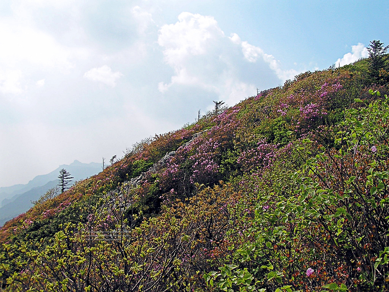 마등령,귀떼기청 5월30일 193.jpg