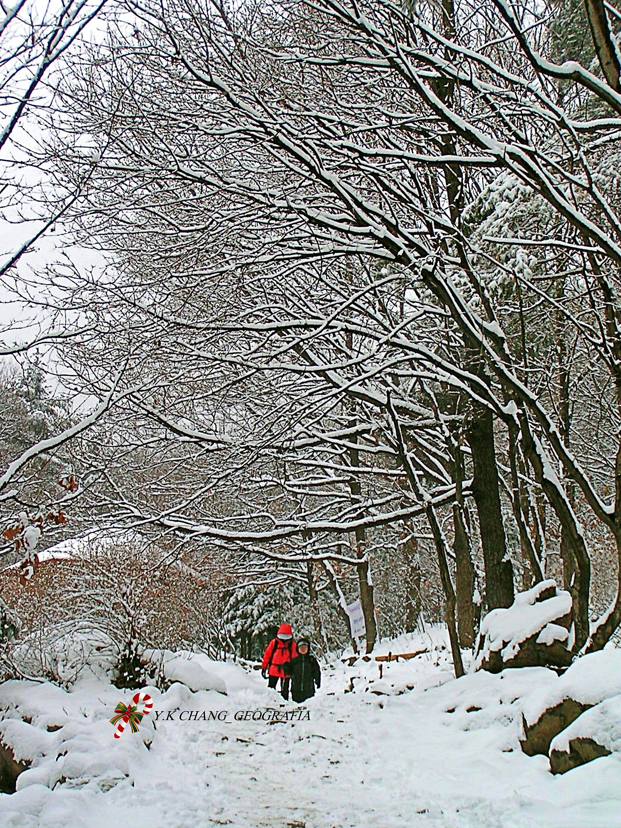 눈오는 날 청계산 043-1.jpg