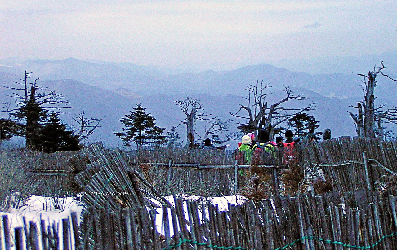 청1월1일 태백 025-1.jpg
