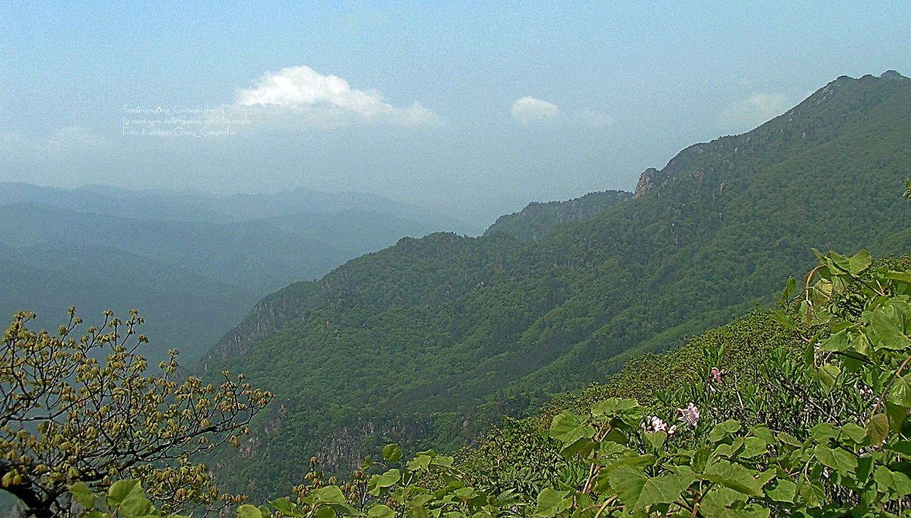 마등령,귀떼기청 5월30일 054.jpg