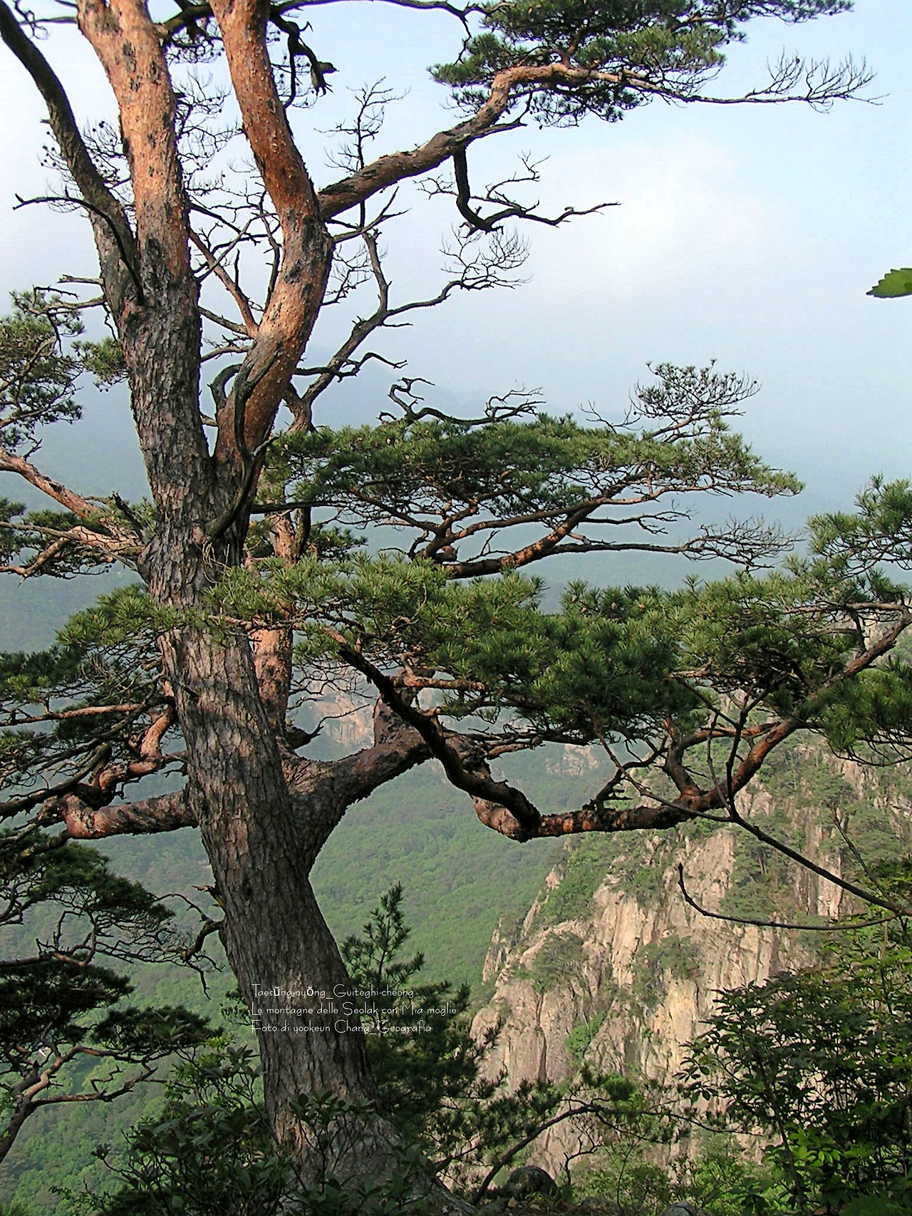 마등령,귀떼기청 5월30일 018.jpg