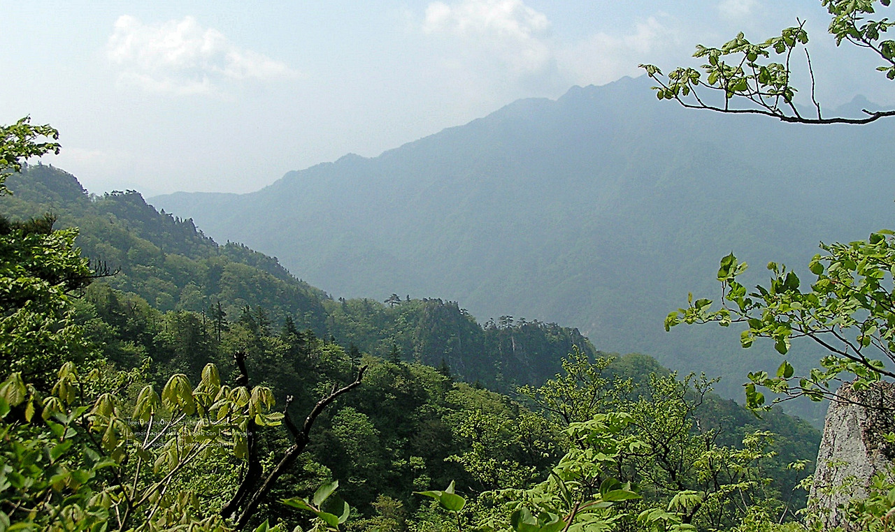 마등령,귀떼기청 5월30일 043.jpg