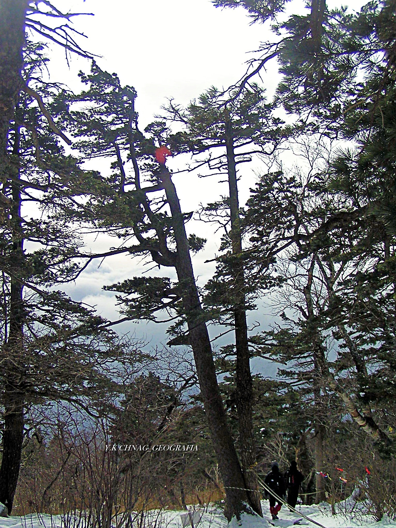 설악산 대청봉 048-1.jpg