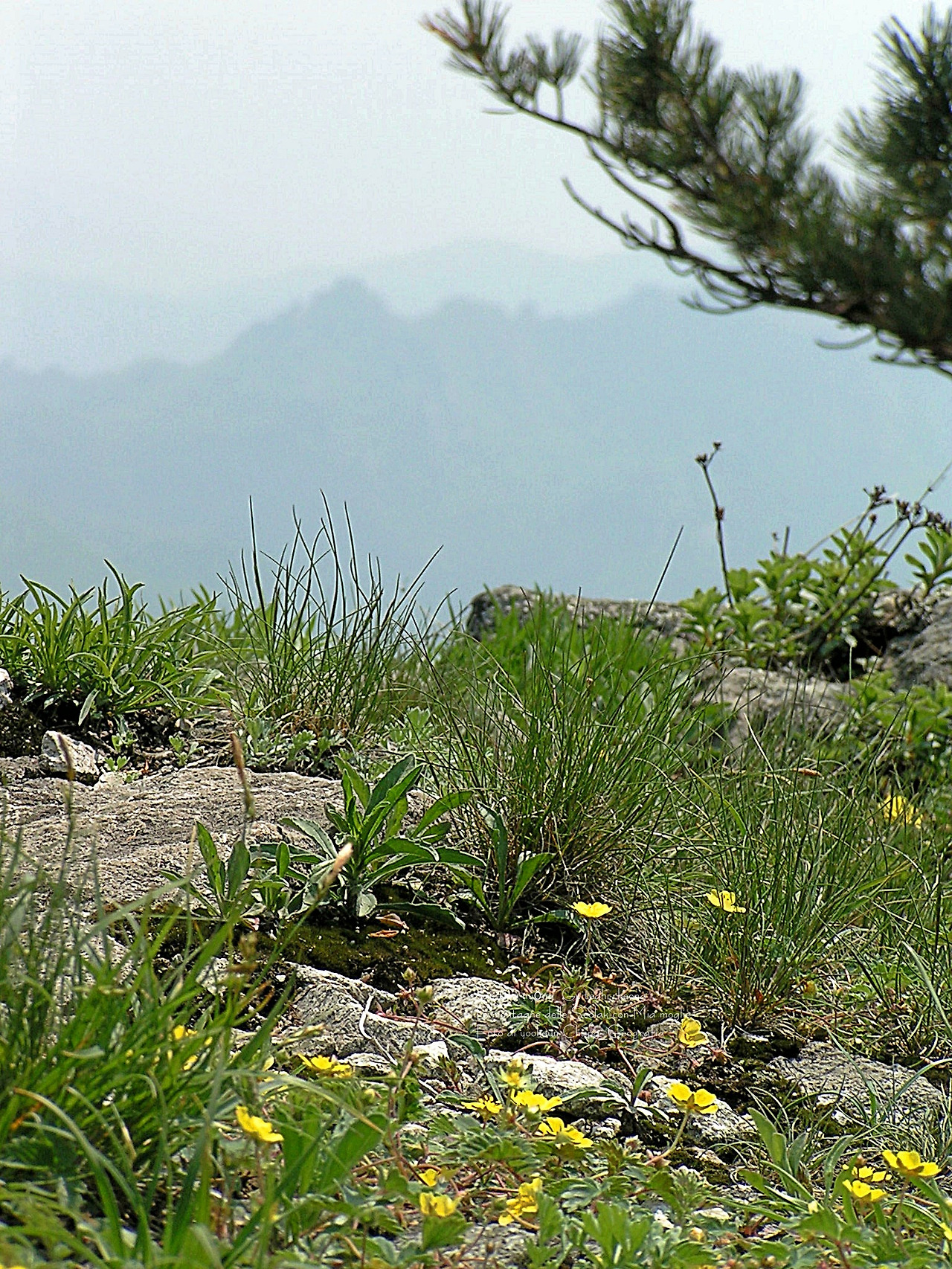 마등령,귀떼기청 5월30일 081.jpg