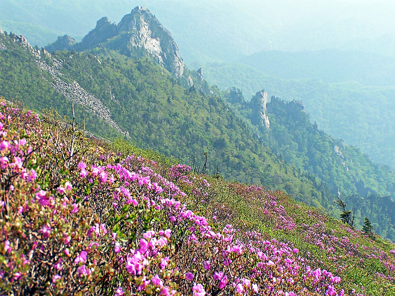 마등령,귀떼기청 5월30일 185.jpg