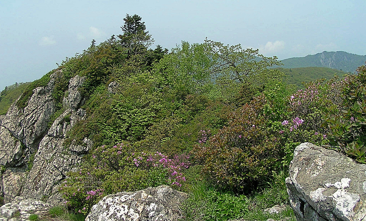 마등령,귀떼기청 5월30일 070.jpg