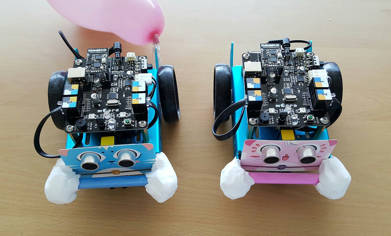 baefoo mbot photo.jpg