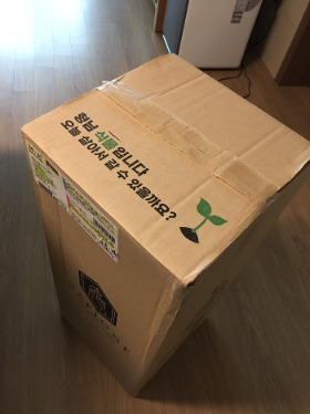 062_2사진일기40_나의 아름다운 정원_2. 화분의 역사_2021.7.18.jpg