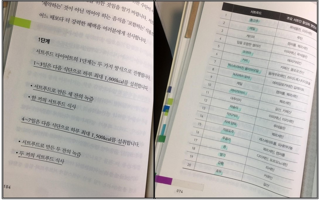 일기_독서_10_서트푸드 다이어트_2.jpg
