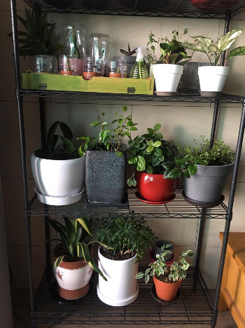 062_4사진일기40_나의 아름다운 정원_2. 화분의 역사_2021.7.18.jpg