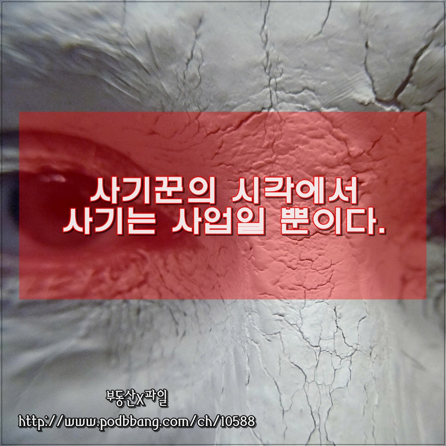 사기꾼의 시각에서 사기는 사업일 뿐이다 900.jpg