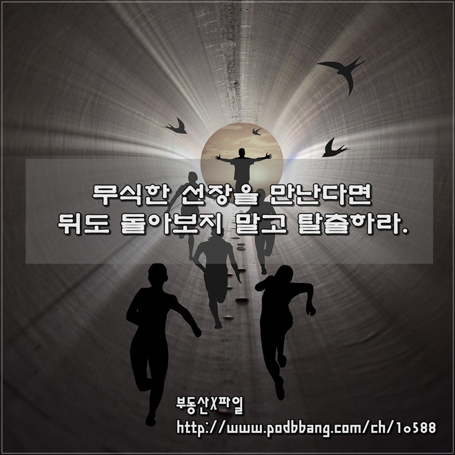 무식한 선장을 만난다면 03 900.jpg