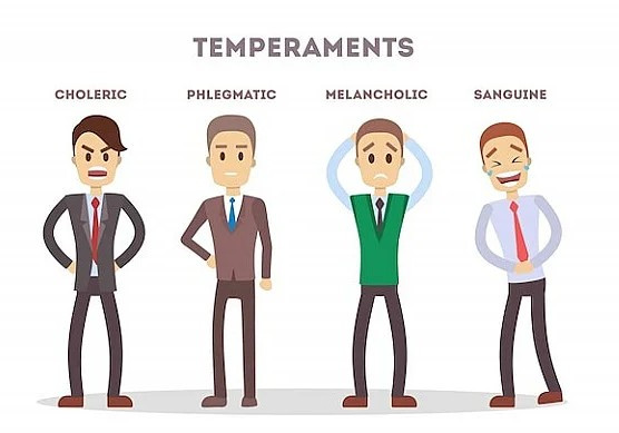 people-temperaments-set-choleric-melancholic-sanguine-phlegmatic_277904-263-blog.jpg