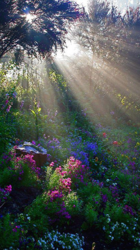 354c17f2dcfe680b5eae18724f31c573 (1).jpg