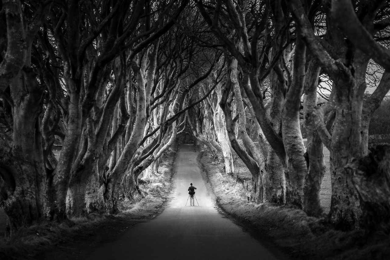 Giuseppe+Milo_The+Photographer+At+The+Dark+Hedges%2C+Northern+Ireland_a01hRA.jpg