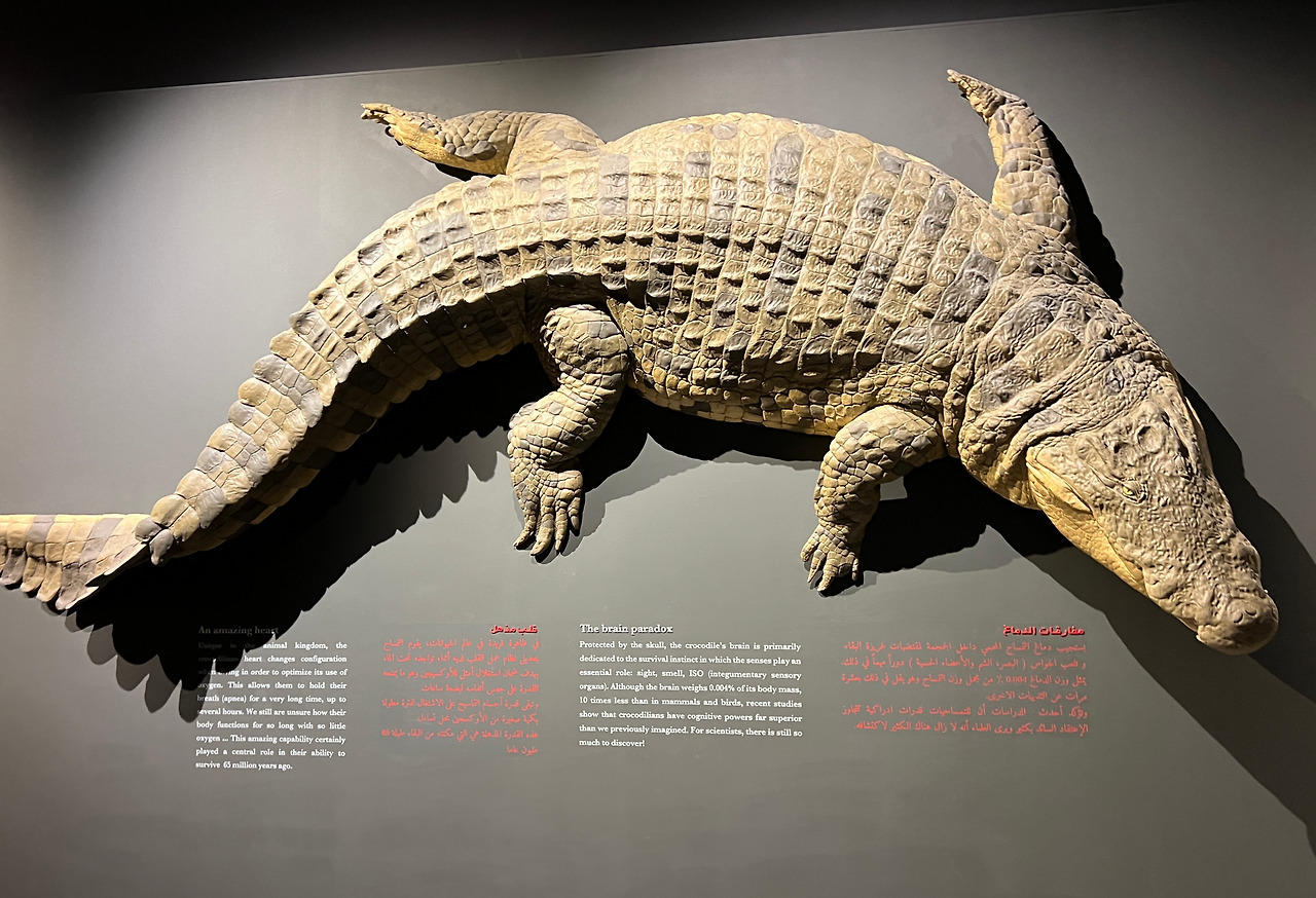 KakaoTalk_20240321_115634971 (1).jpg