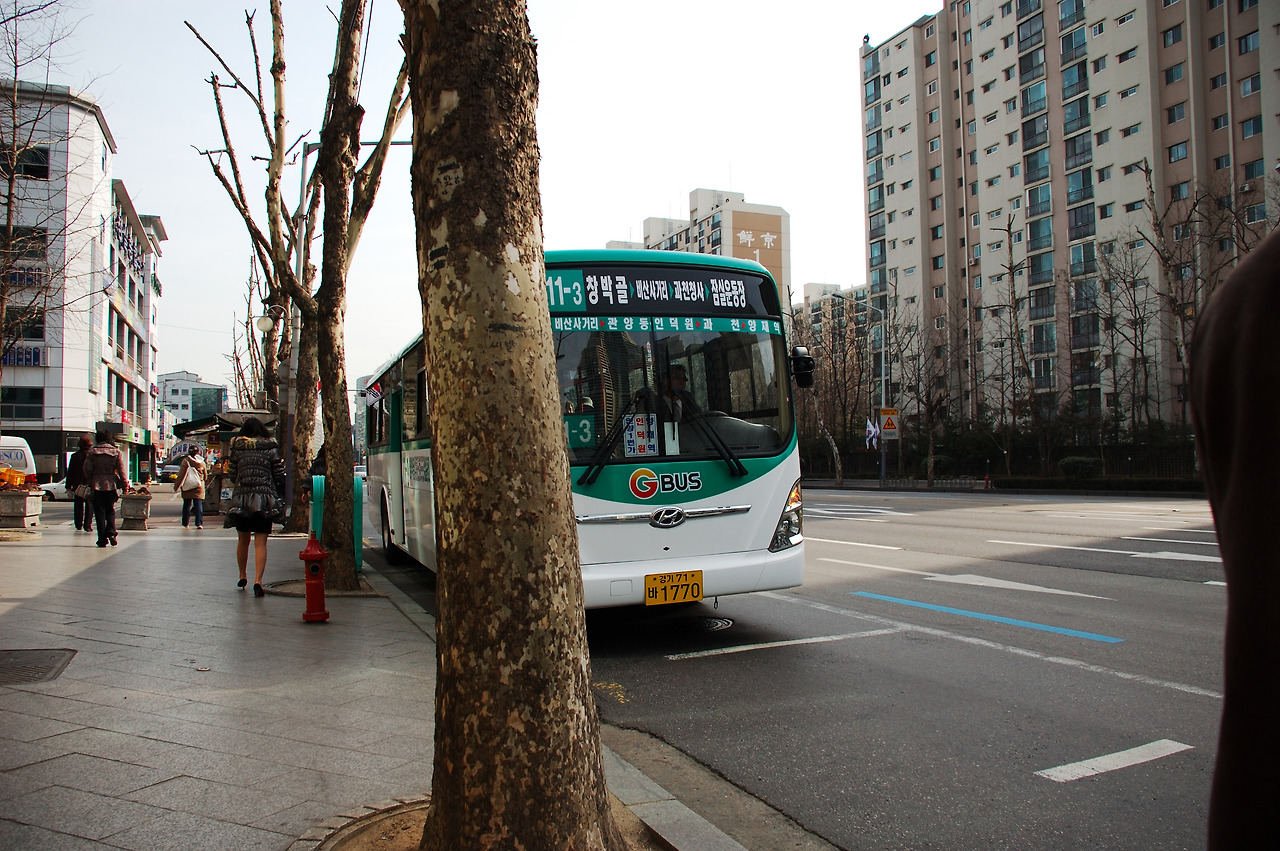 집근처 도로.jpg