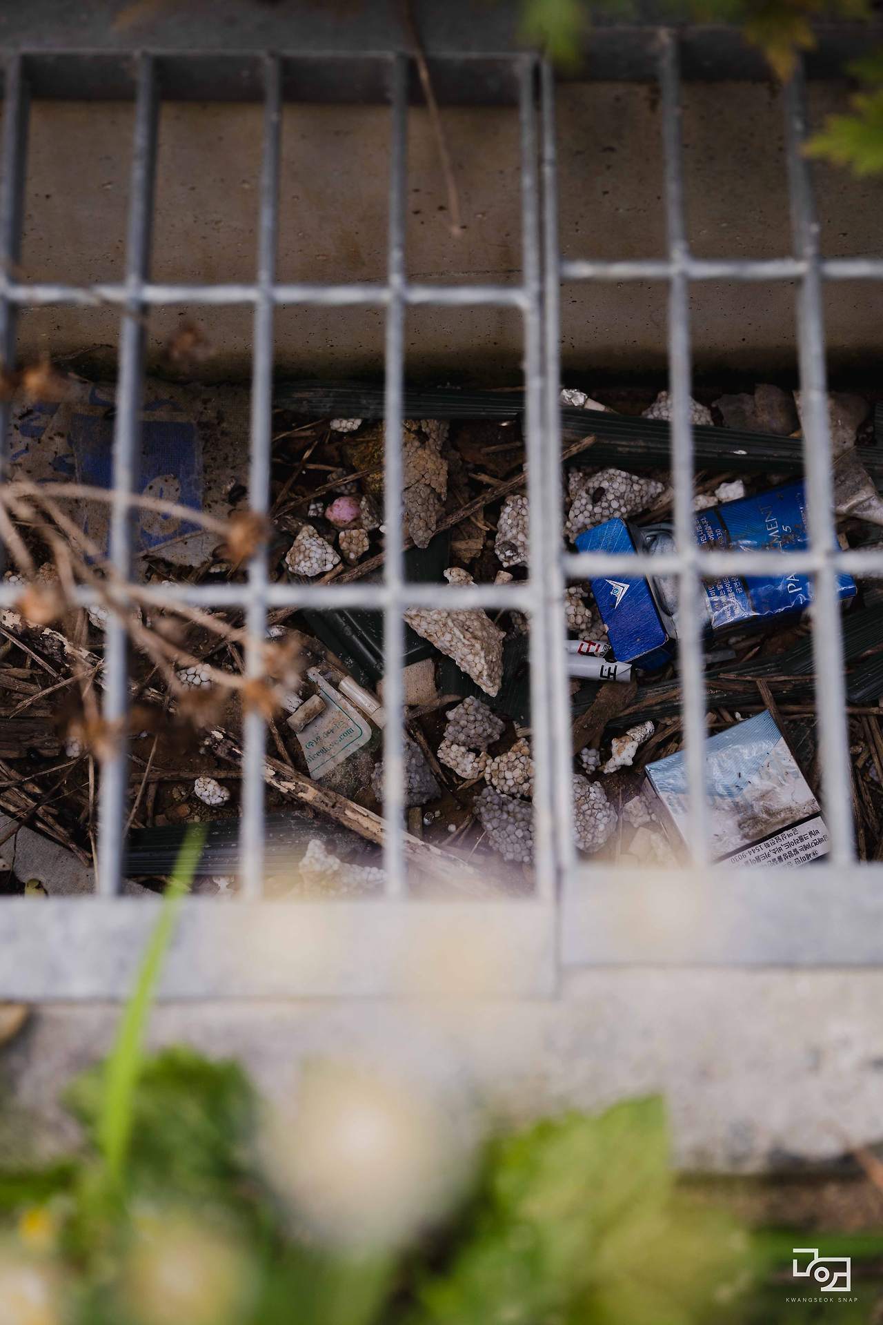 시그마 렌즈 테스트096.jpg