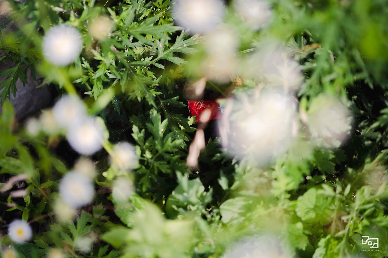 시그마 렌즈 테스트081.jpg