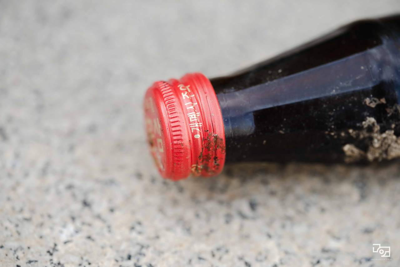 시그마 렌즈 테스트072.jpg