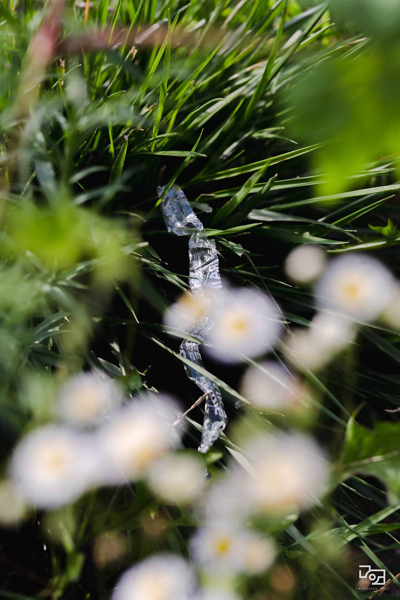 시그마 렌즈 테스트090.jpg