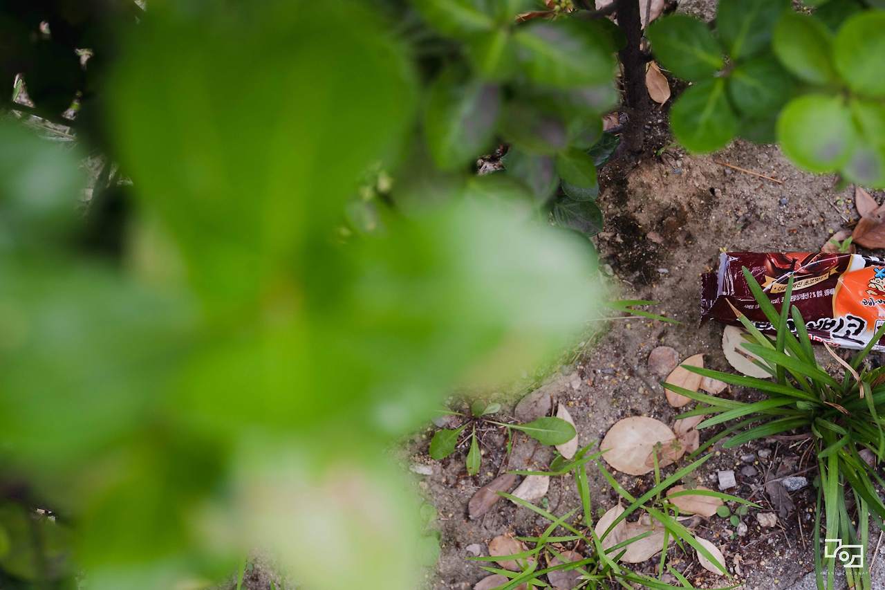 시그마 렌즈 테스트060.jpg