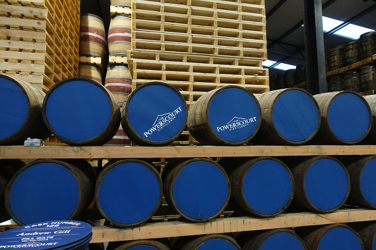 2019-11-21 23.05.46.jpg