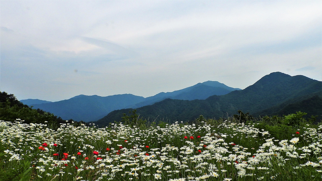 03지리산_구례 (2).jpg