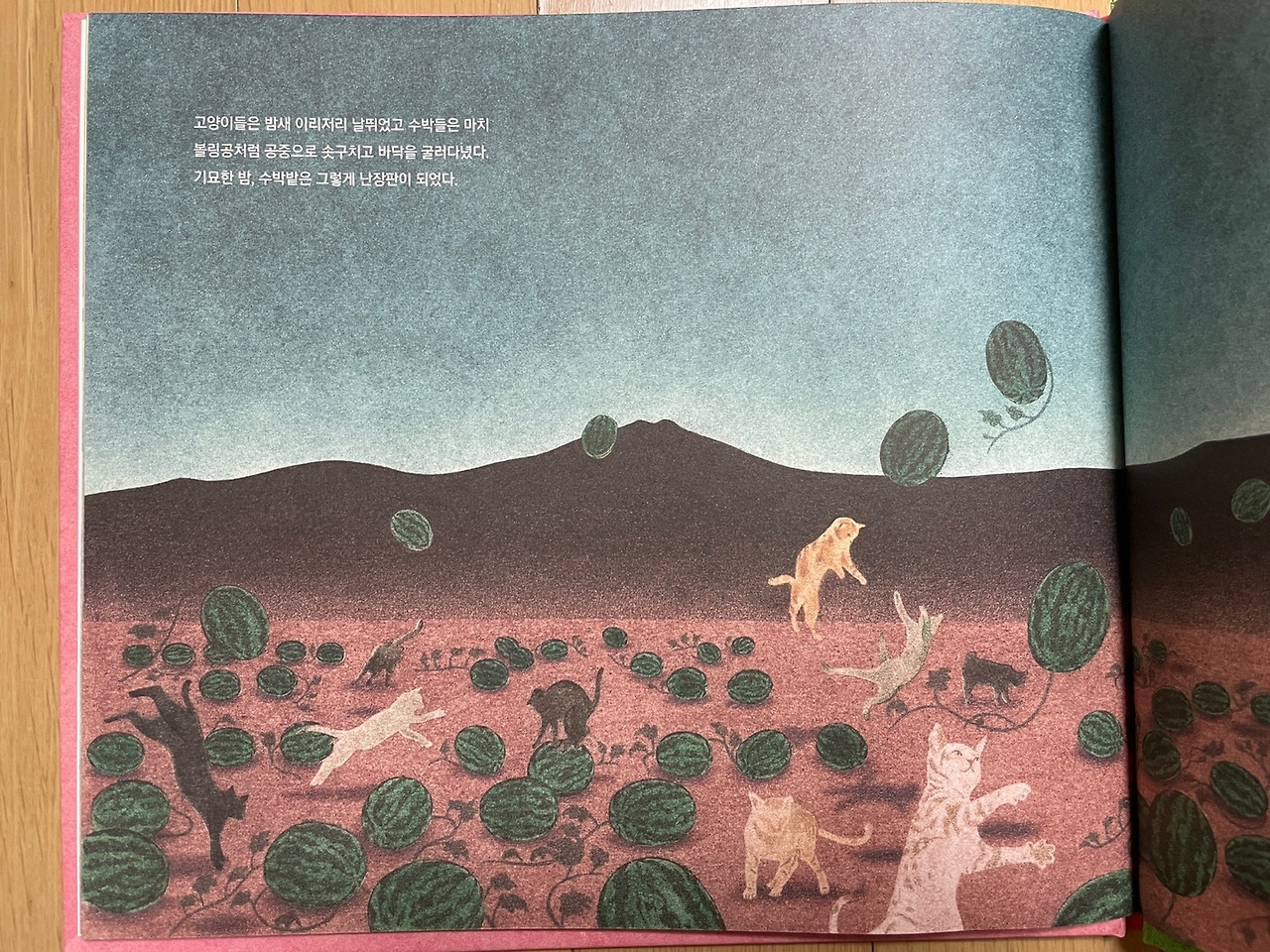 앙통의 완벽한 수박밭_03.jpg