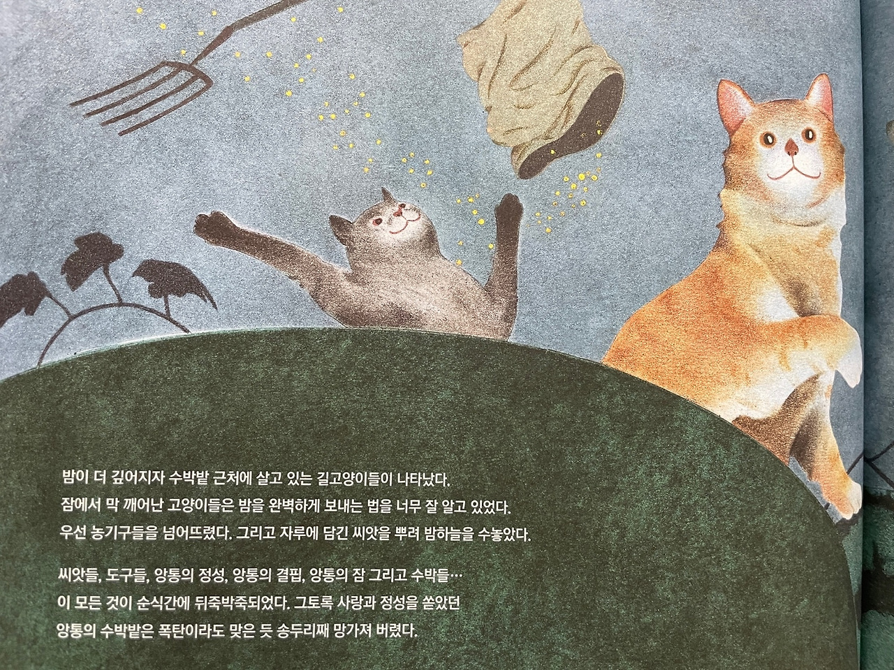 앙통의 완벽한 수박밭_02.jpg