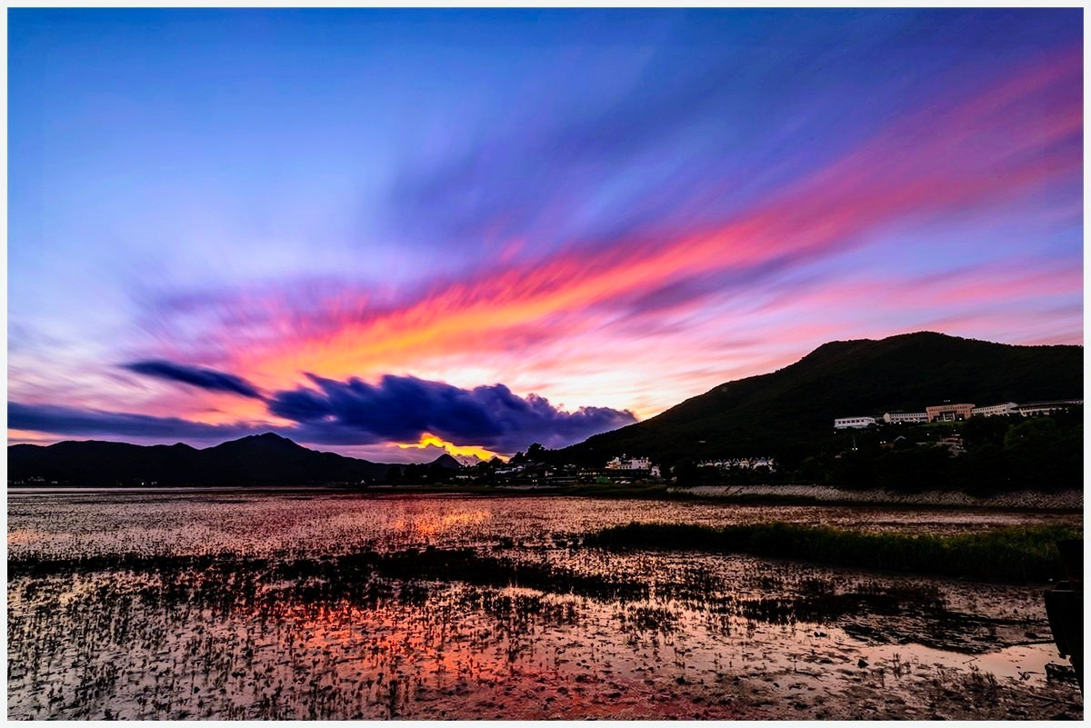 _IMG2850 복사.jpg