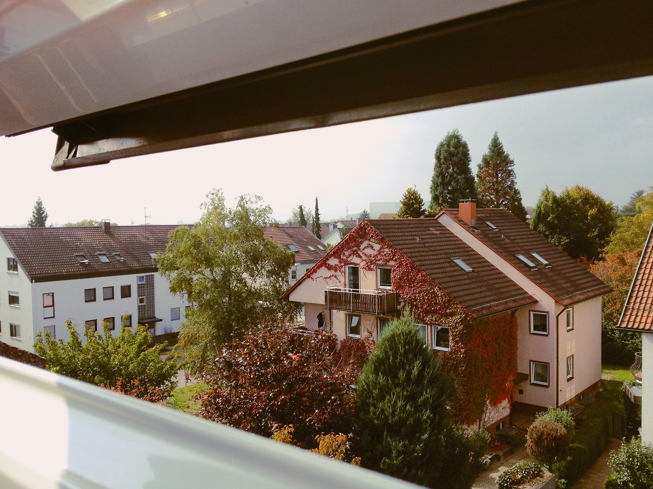 피아노스트 엘리제 여자의 스타트업 .jpg