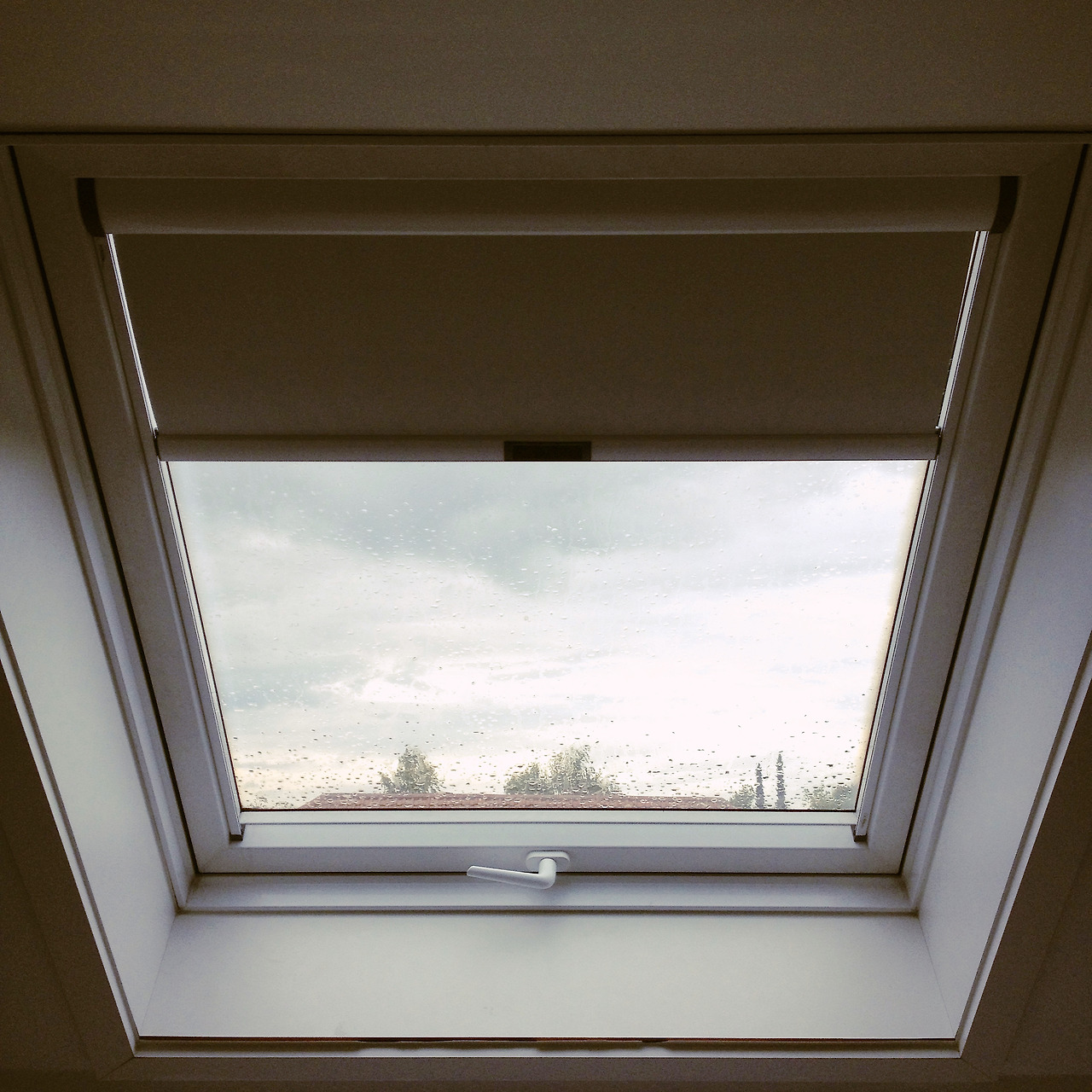 피아노스트 엘리제 여자의 스타트업 독일 창문.jpg