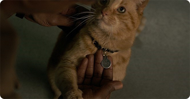 movie_image (10).jpg