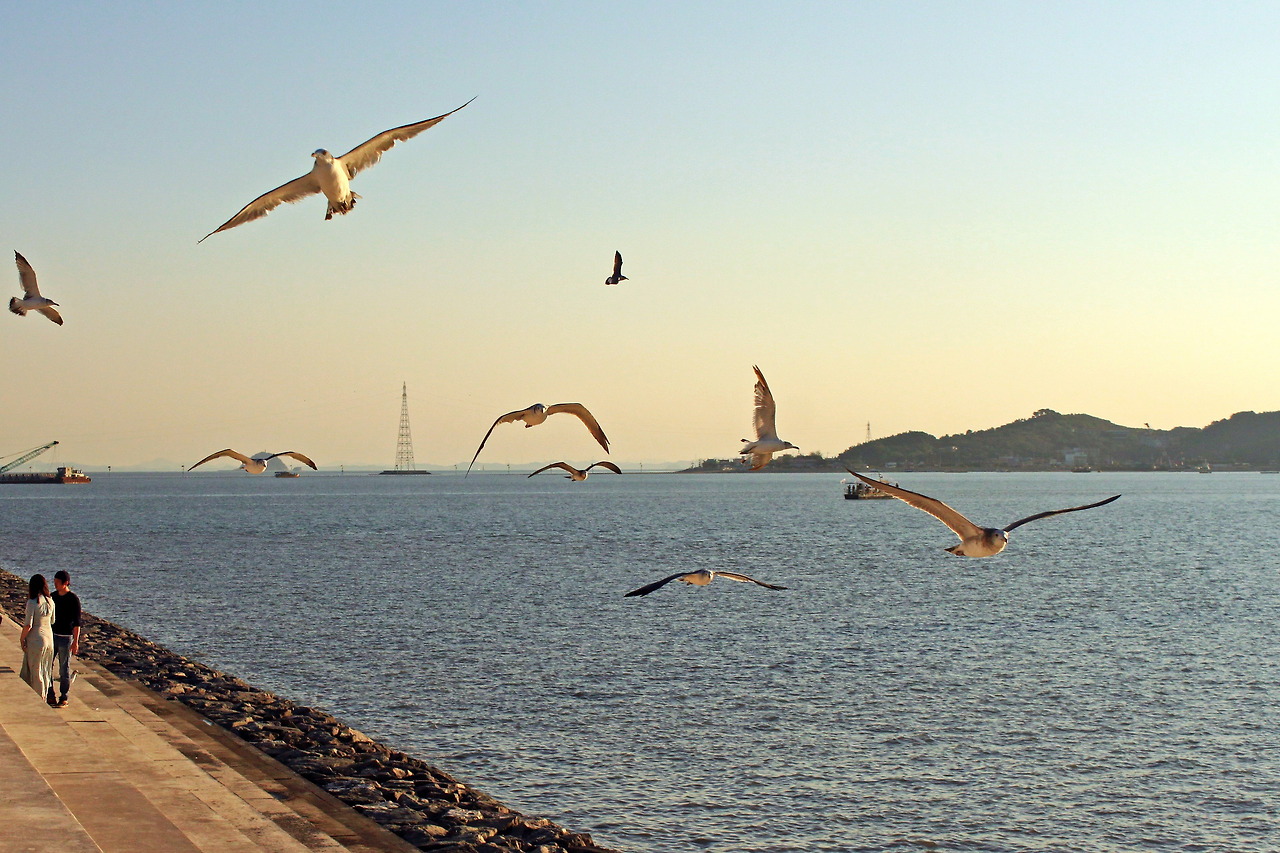 2018년작_김유빈_단양초6년_낮게 나는 갈매기는 넓게 본다.jpg