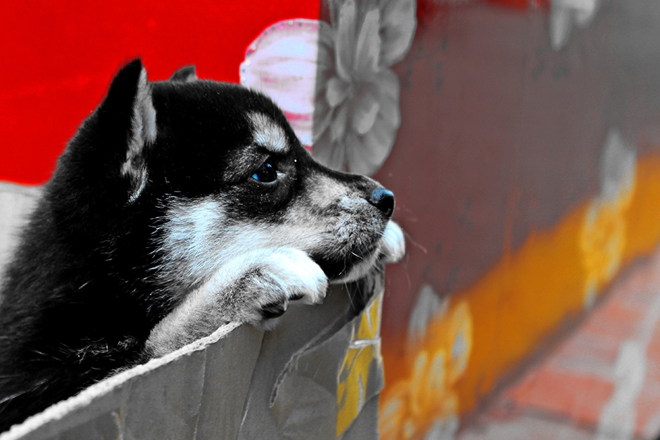 (매포초 6년 신채린)기다림.jpg