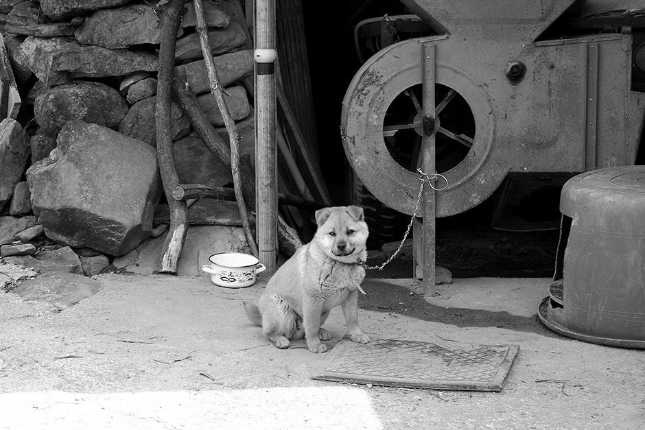 정재훈-누군가의 기다림.jpg