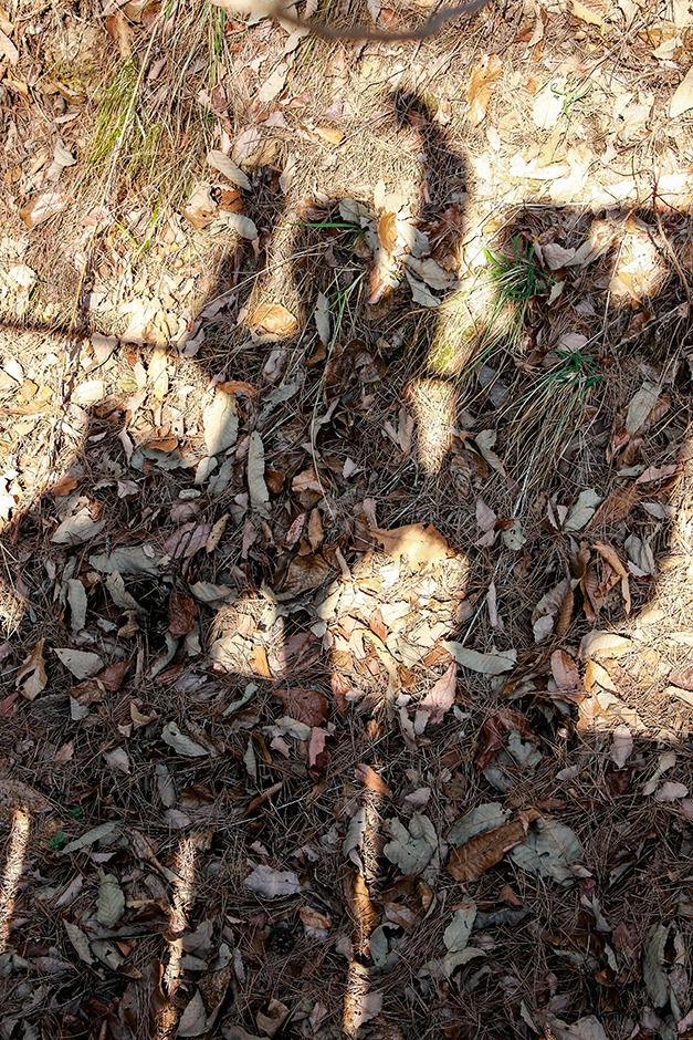 (단양중 1년 김원비)친구2(입상작).jpg