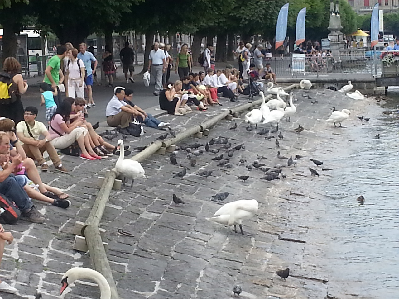20130717_132417.jpg