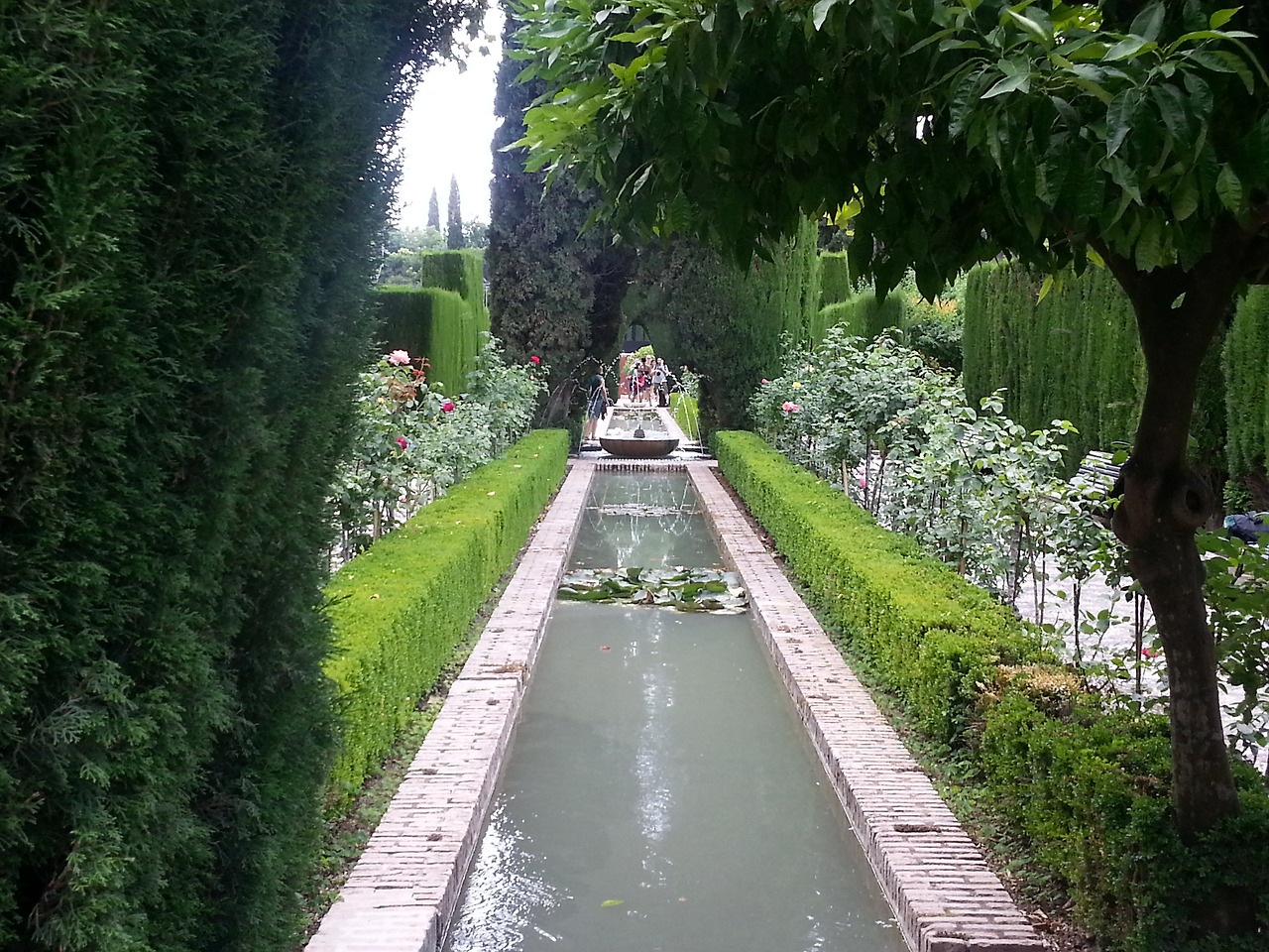 20130702_140324.jpg