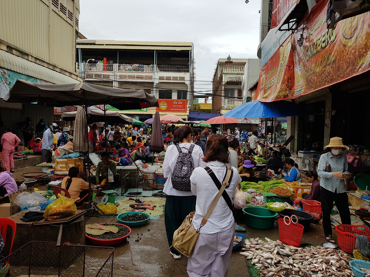 예산과 정산.jpg